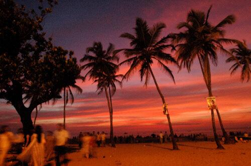 Google offers to put Goa on its 3D map timesofindia.indiatimes.com/india/Google-o…