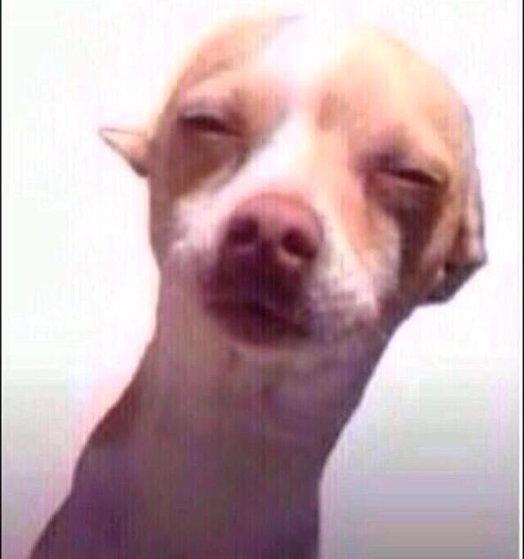 richkidproblem0's tweet image. When yo parents say that you can&apos;t take the Bentley! http://t.co/UEMHv7PBrZ”