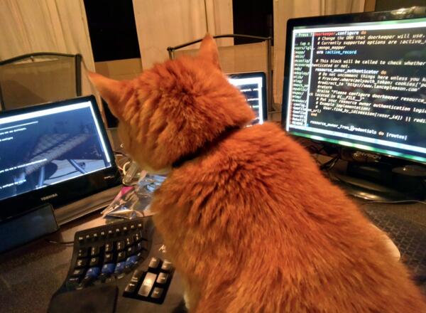 lgleasain's tweet image. Fixing some Oauth @PurrProgramming #purrprogramming