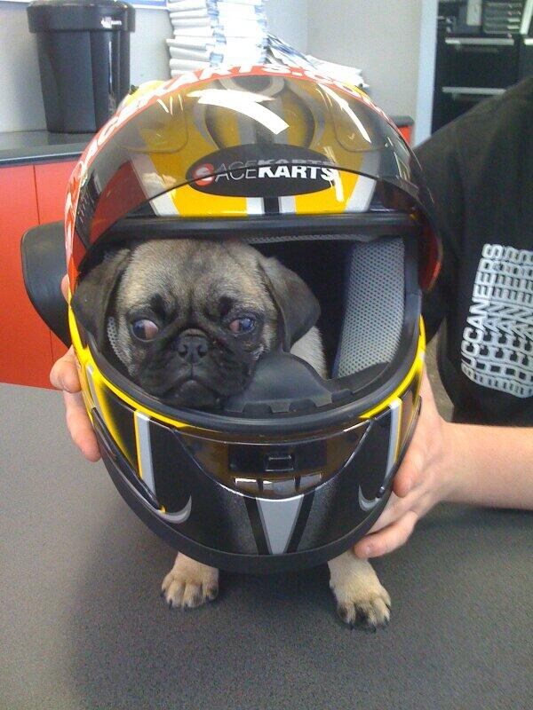 Ace Karts tweet media