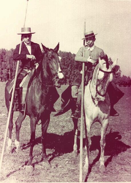 Acoso y Derribo tweet media