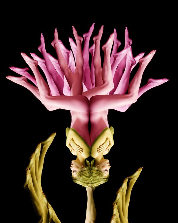 RipleysLondon's tweet photo. AMAZING ART! @ceceliawebber's human body art is something out of this world! #art ---> http://t.co/HzYkQDIjVf http://t.co/PugmvLa2D7