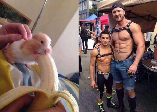 😂😂😂 http://t.co/moi75yXyhx<a href="/tag/gympic"class="tags"><span>#gympic</span></a>