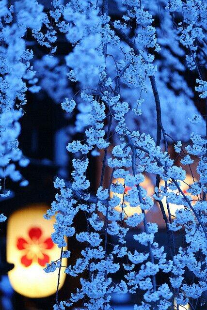 moun983's tweet photo. http://t.co/QegWr5Cffg