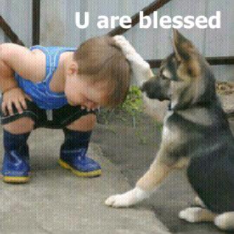 Upcoming revolution....an animal can now pray for a man.....watchout!!