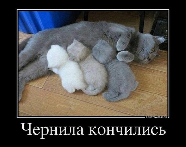 Mark7RB8's tweet photo. http://t.co/s6poLtE3GN