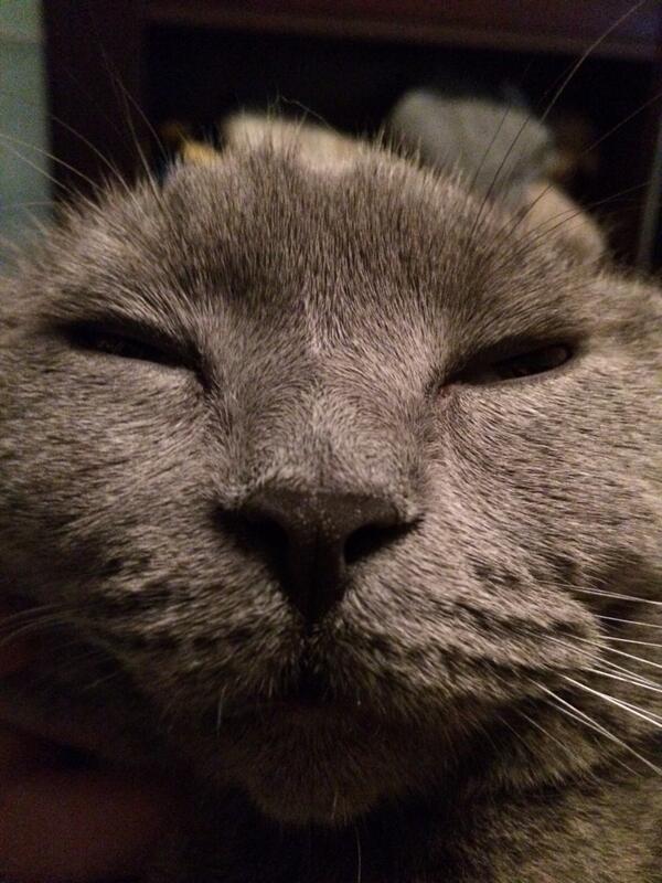 1VladTsoy's tweet photo. 😑 http://t.co/aKZ4F7npNS