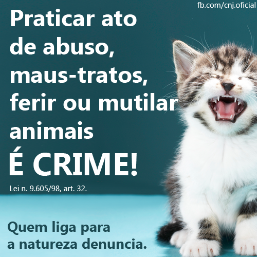 Maltratar animais é CRIME! Adote, castre, não abandone! Cuide!!! goo.gl/T38SXV
 <a href="/CNJ_oficial/">Conselho Nacional de Justiça</a>