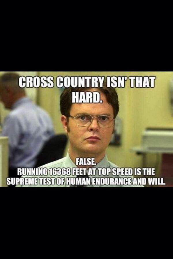 RodneyWhitcher's tweet image. 