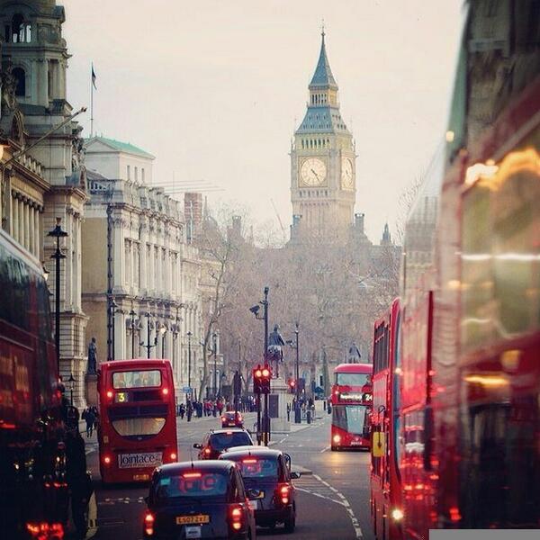 Forever__Maria tweet picture