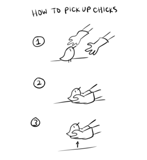 StumblerVideos's tweet photo. How to pickup chicks http://t.co/quuK7cpwvv