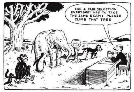 Insayno's tweet photo. Ons educatiesysteem: http://t.co/9nSSdPuvjl