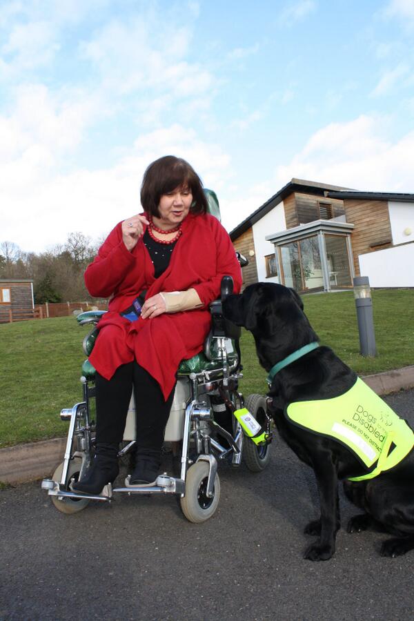 CE_Goddard's tweet photo. Riley @The_Blue_Cross rescue dog qualifies to work with @Dogsfordisabled  http://t.co/Z799wpoHz7 @marcthevet @pupaid http://t.co/eNJ52RK9E7