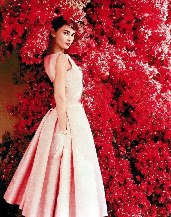HistoryInPics's tweet photo. Audrey Hepburn, 1953 http://t.co/PETwgTGi8O