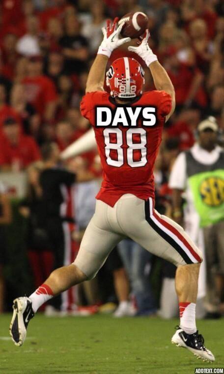 epperry1's tweet image. 88...Days! We will miss this Dawg! @alynch1788 @reesrun #GoDawgs #BeatClemson