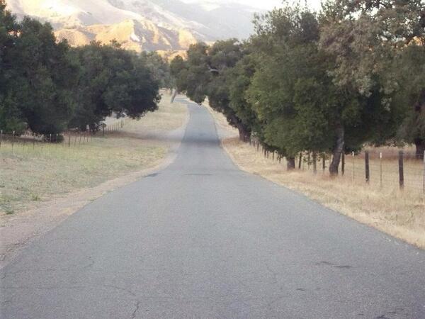 LoversofMJJ's tweet photo. Only MJFans knows this road :( http://t.co/XjfL3SjInq