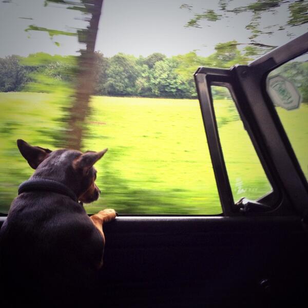 JaskowskiAuto's tweet image. 