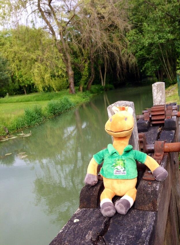 Permalien de l'image intégrée