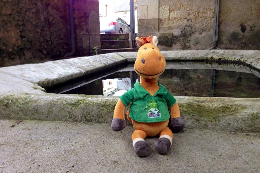 Permalien de l'image intégrée