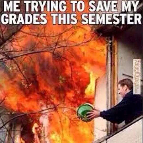 PTSchoolProbs's tweet image. Good thing the grades don't matter so much in PT school #PTschoolprobs #ptschoolproblems #dptstudent