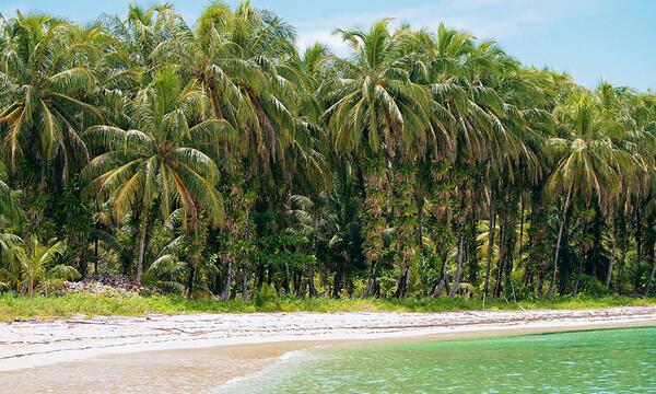 Visit_CostaRica tweet picture