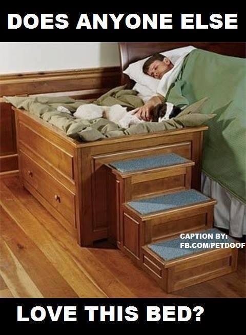 Kate Blake (@tregenza65) on Twitter photo 