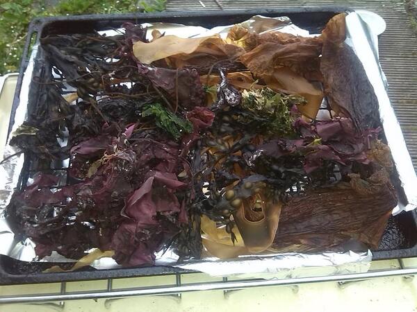 Denis Quinn tweet media