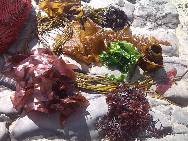 Denis Quinn tweet media