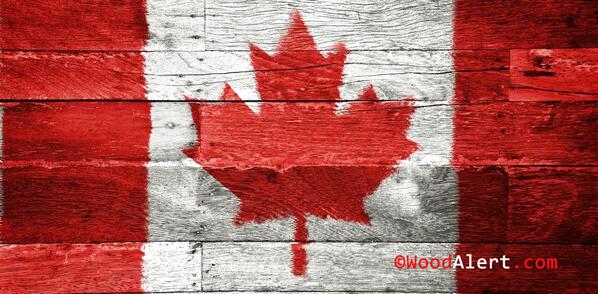 Woodalert's tweet photo. Canada: wood continues to be the biggest global advantage
http://t.co/aPFhp8C4uF
#wood, #forest, #lumber, #timber http://t.co/EF8r8zVP0z