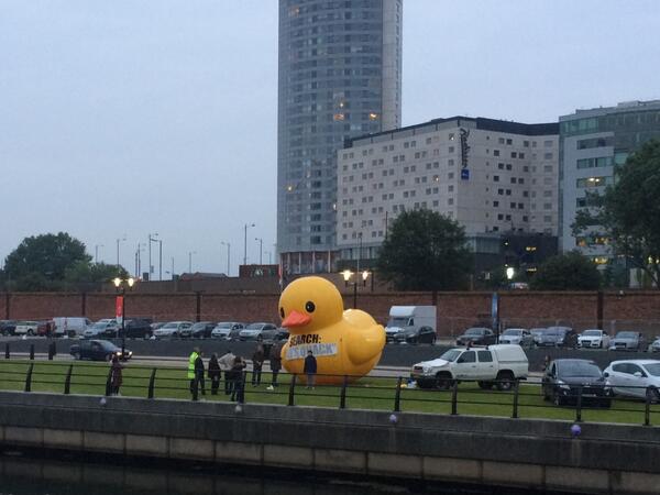 Let's Quack tweet media