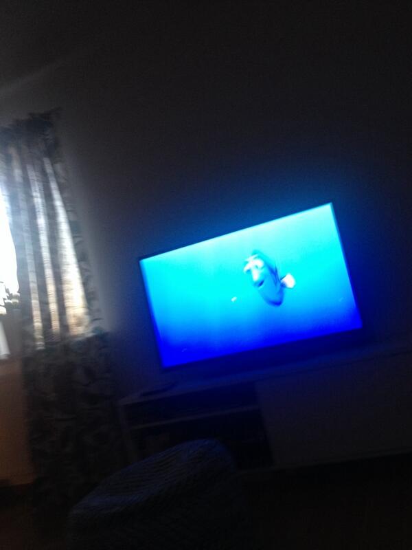 Linn Andersson tweet media