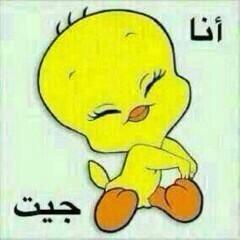 sarh11111112's tweet photo. انا جيت
مين يرحب فيني http://t.co/XYmVShDT4o