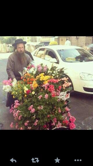 GoldYoel's tweet photo. Git Yom Tov שבועות To All http://t.co/HAUgvJwDGm