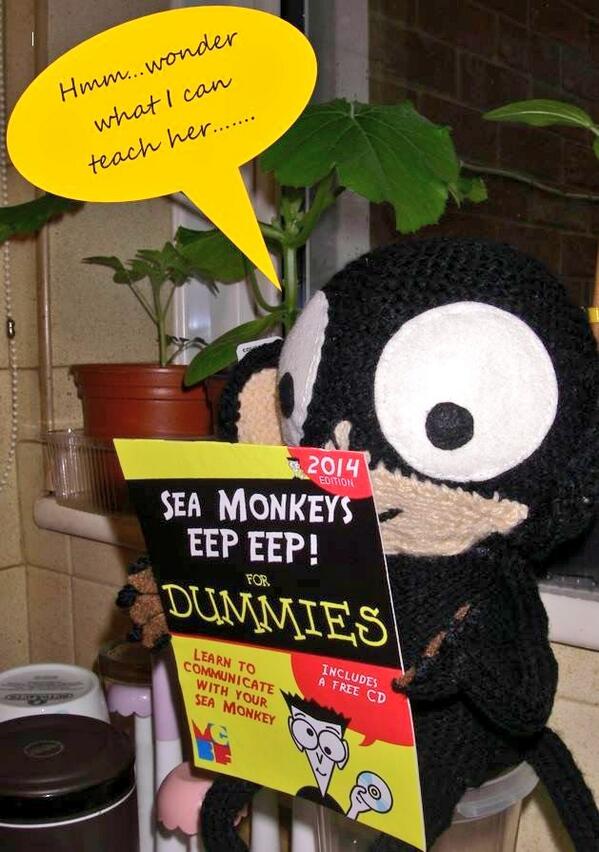 OxfordChildrens's tweet image. MT @apytown: My sea monkey Angelo picked up a book for himself today...or is it for me?  #seawigs