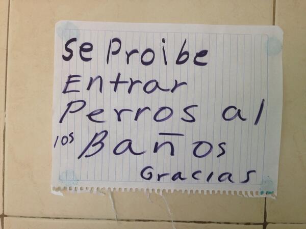 palomapm (@palomapm) on Twitter photo 