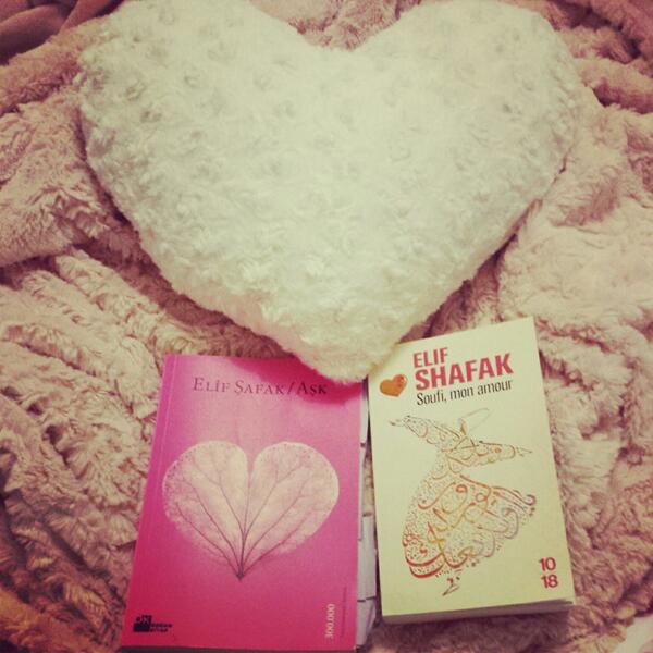 coquilleDamour's tweet photo. @Elif_Safak  teslimati dogum gunumle pekişen kitap Soufi, mon amour... Aşk kitabinin  fransizca versyonu 💞📚📖 http://t.co/tzosjp24Bv