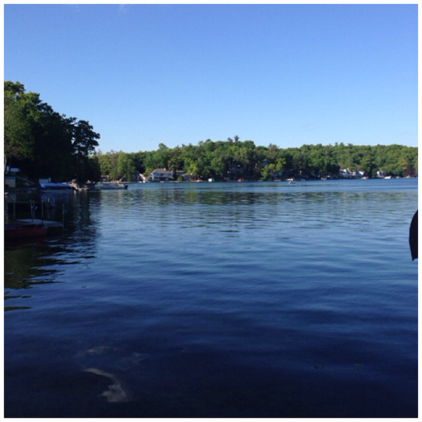 brodelt21's tweet photo. I just ran 2.52 mi with Nike+. #nikeplus http://t.co/QeIsC7A0lv