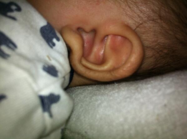 Twitter এ Mi4 Miho うちの息子の耳 耳たぶがクインッて上向いてるんだけど 調べたら恵比寿耳 って言って はんぱない財を残す耳たぶの形らしい 乞うご期待だなw Http T Co Jam9id9xdp ট ইট র