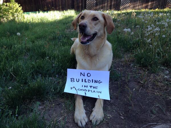 FloodControlAm's tweet photo. Flood Control Dog says, "No building in the floodplain!" #ASFPM2014 http://t.co/XhtjDd6uqq