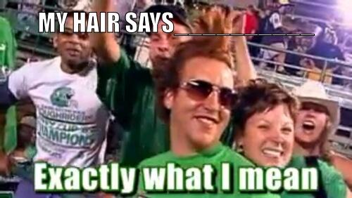 SamKliman's tweet photo. My hair says… http://t.co/PyBPq8iZoi