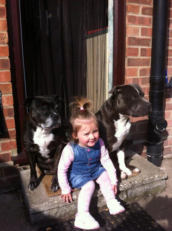 davidparker28's tweet photo. Tilly with busta and cleo http://t.co/psSH58ujvH