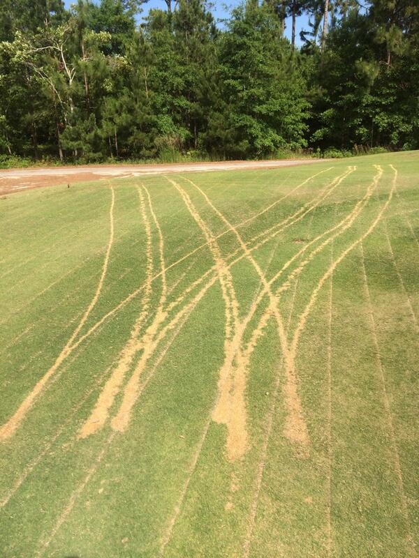jforan21's tweet photo. Just a little damage from Curfew about five feet from the green, no big deal... @SuperProblems @Turfgrassprobs http://t.co/uBBSzhUrFy