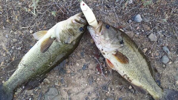 #River2Sea#doublehookup