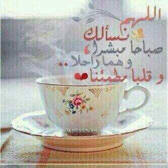 لبيه لبيه يالغالي (@lila78776) on Twitter photo 