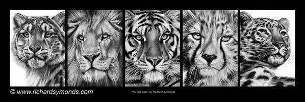 luminni's tweet image. # BanTrophyHunting #StopTrophyHunting #OpFunKill #StopKillingPredators #WaitingtoDie