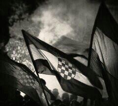 ivona_macan tweet picture