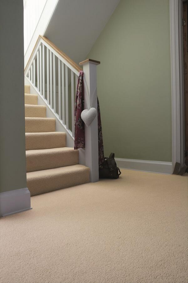 Storey Carpets tweet media