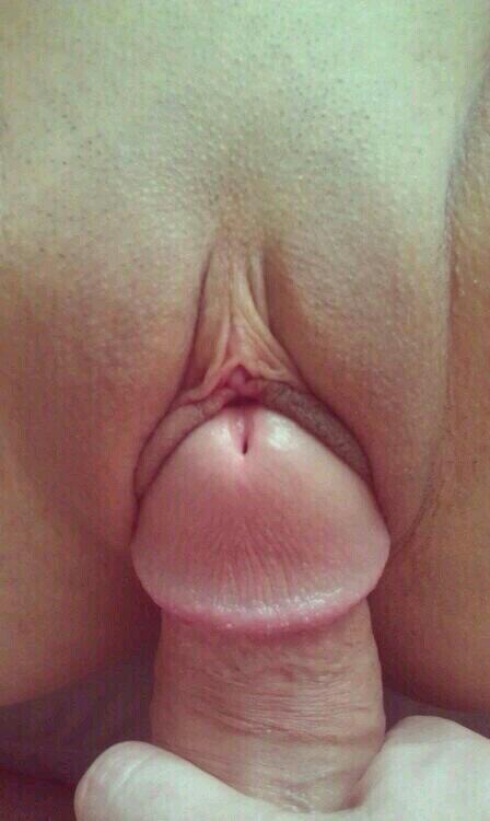 peminat's tweet photo. @TakTahanJolok nak .....cam ner eekk http://t.co/tbE49hIXbA