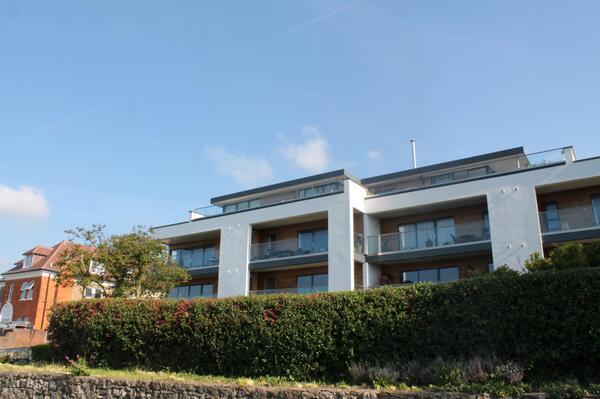 OFP Timber Frame tweet media