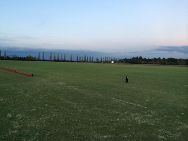 10 mm of rain on the weekend and still no frost. Perfect for growing grass through the recent sanding.